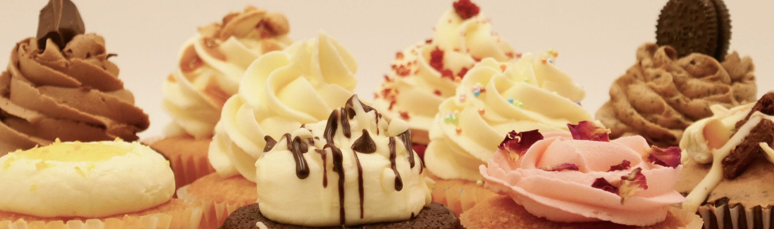 Standard Cupcake Range